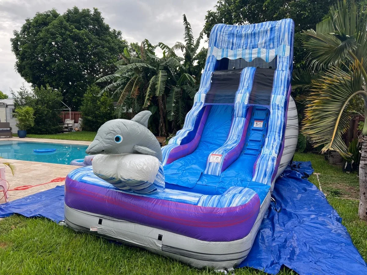 Dolphin Water Slide 16ft thumbnail 2