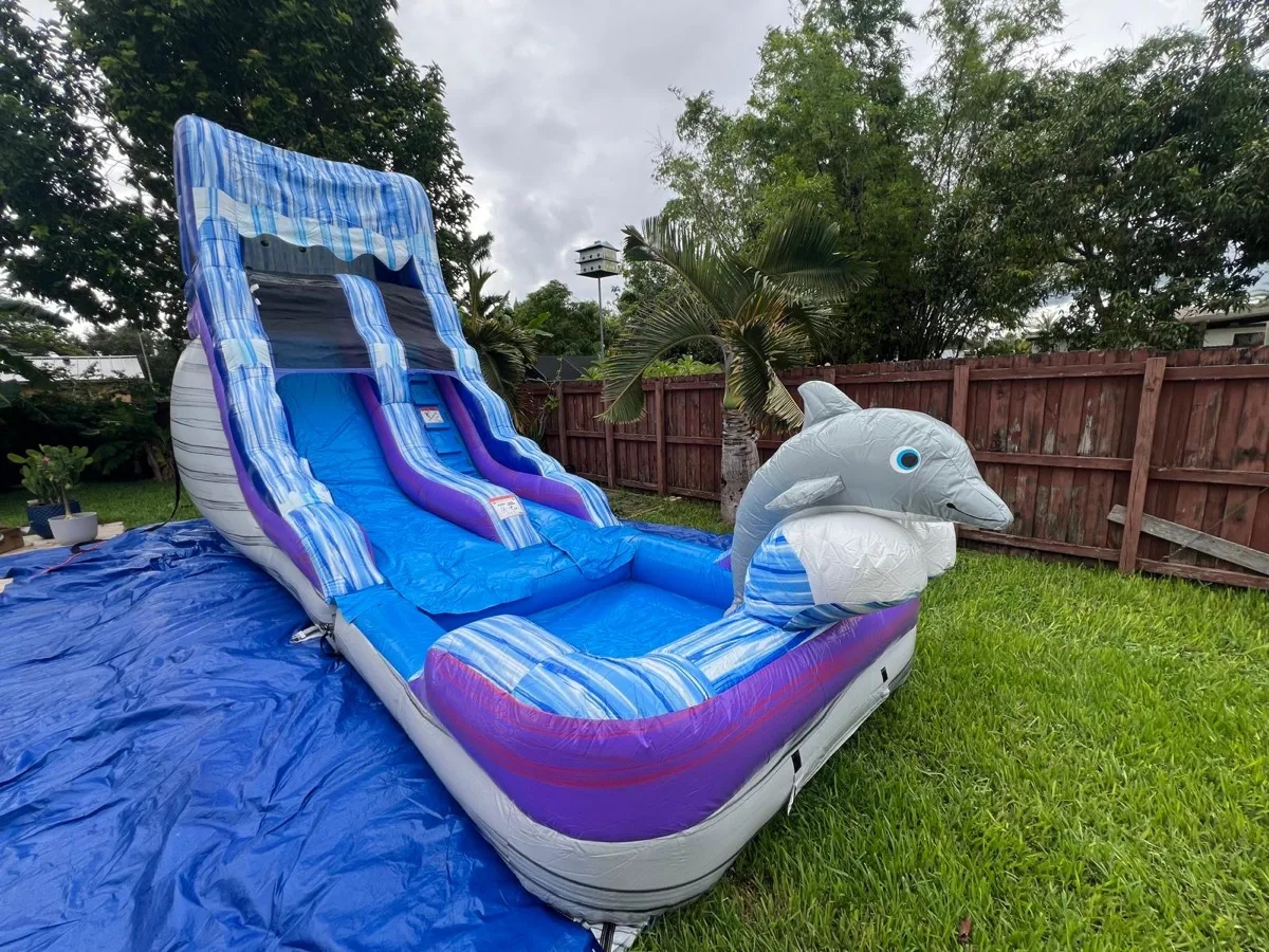 Dolphin Water Slide 16ft thumbnail 3