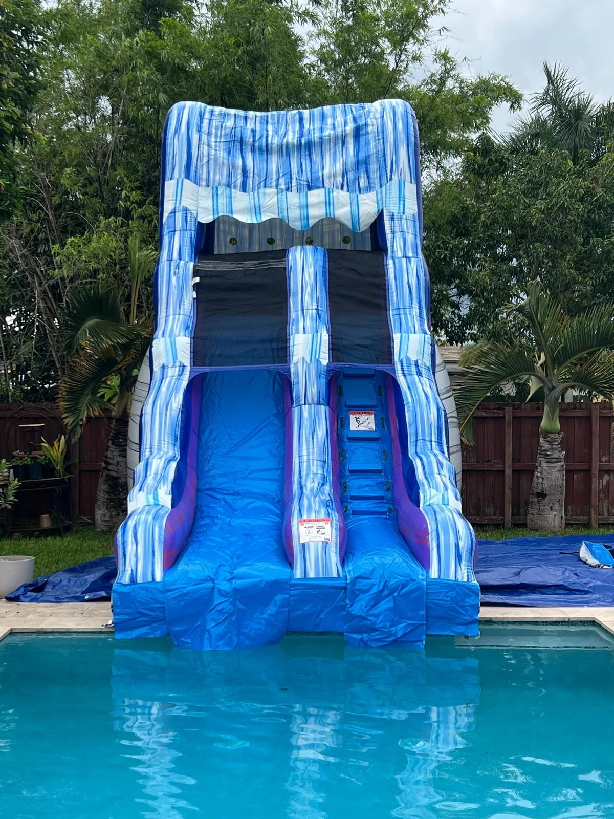 Dolphin Water Slide 16ft thumbnail 5