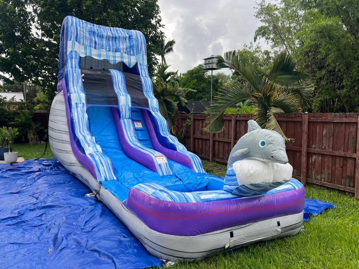 Dolphin Water Slide view 4