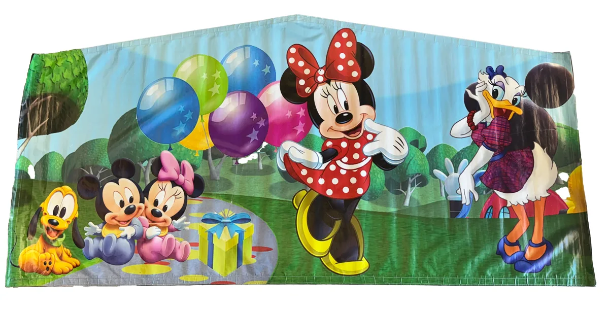 Minnie & Daisy Bounce House view 3