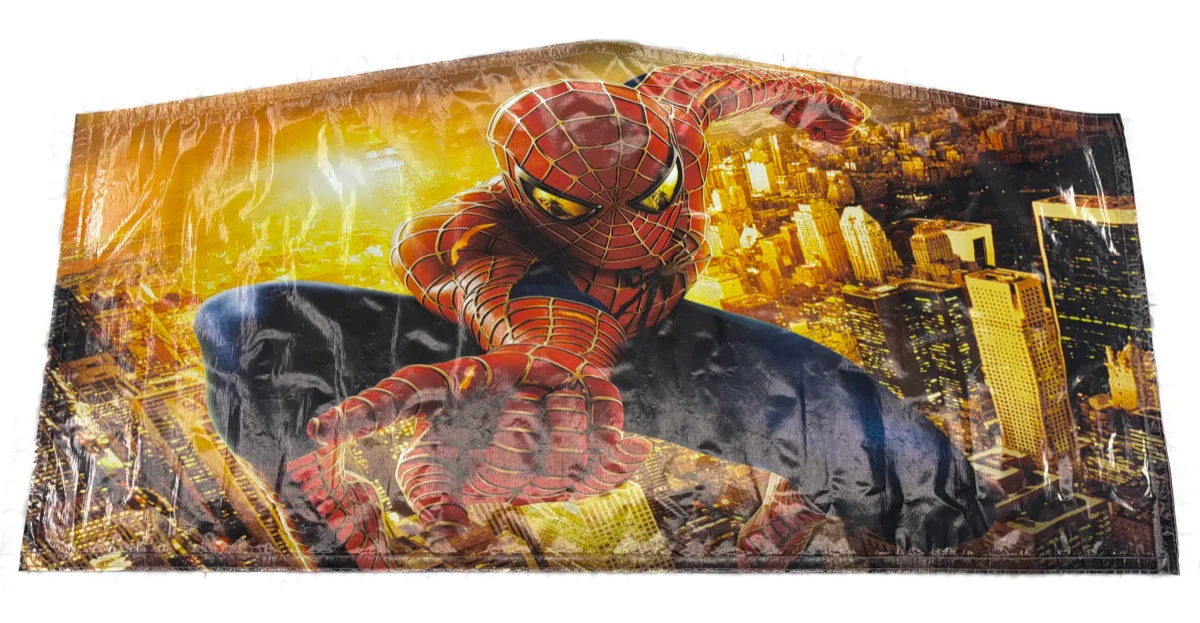 Spiderman Bounce House view 2
